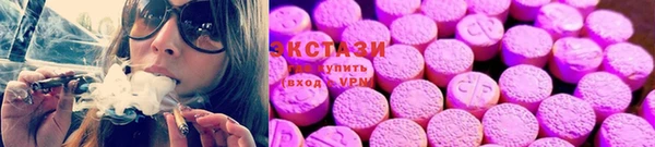 ECSTASY Алзамай